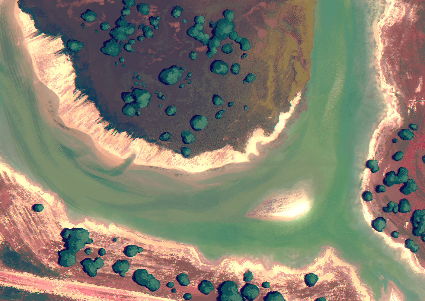 Illustrated site map of the St Lawrence Wetlands Festival showing coastal wetlands and waterways