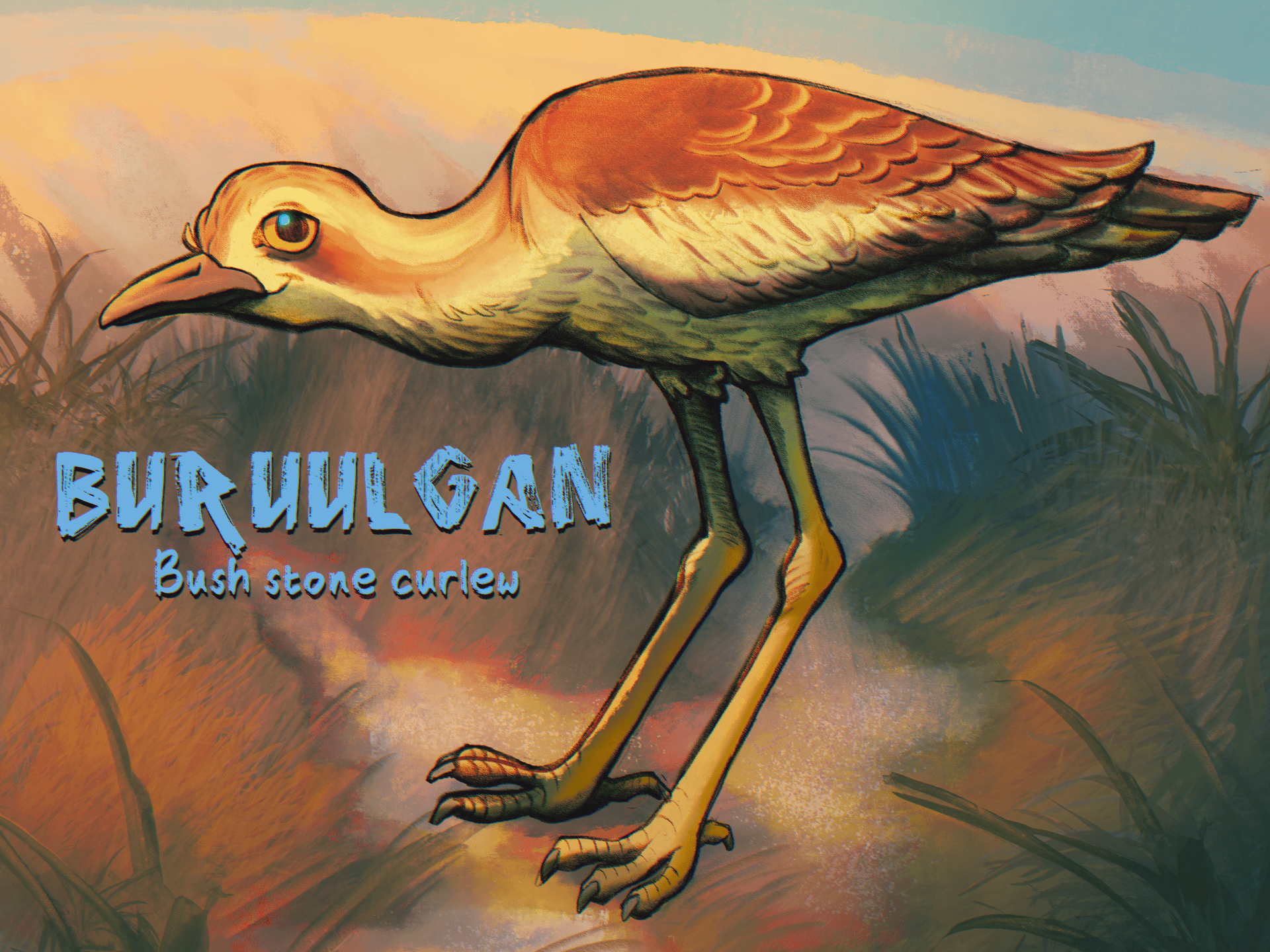 Burulugan, bush stone curlew illustration created for Bundjalung language education resources