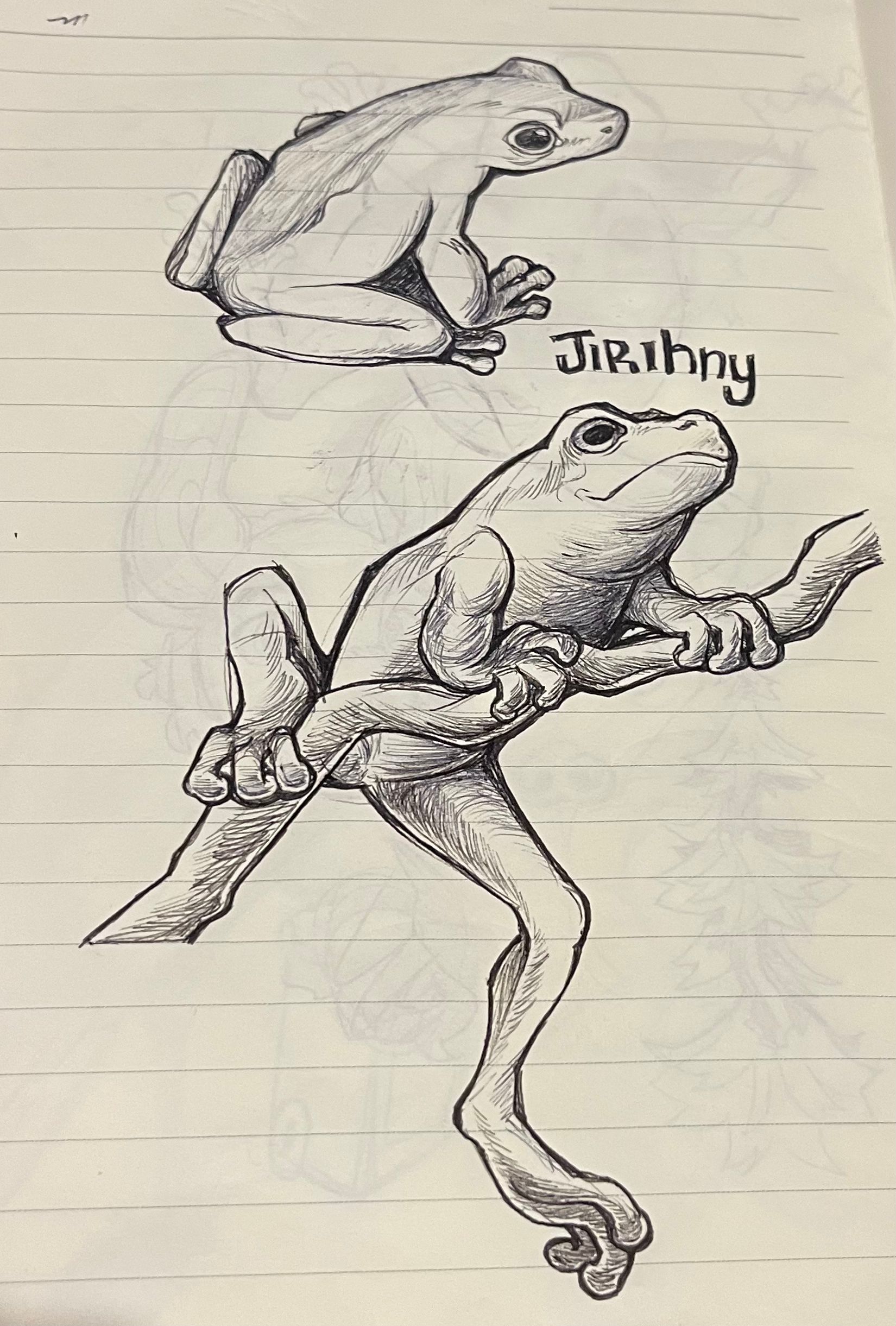 Hand-drawn sketch studies of a frog labelled “Jiribiny,” showing anatomy and posture from a sketchbook used for Bundjalung language wildlife education.