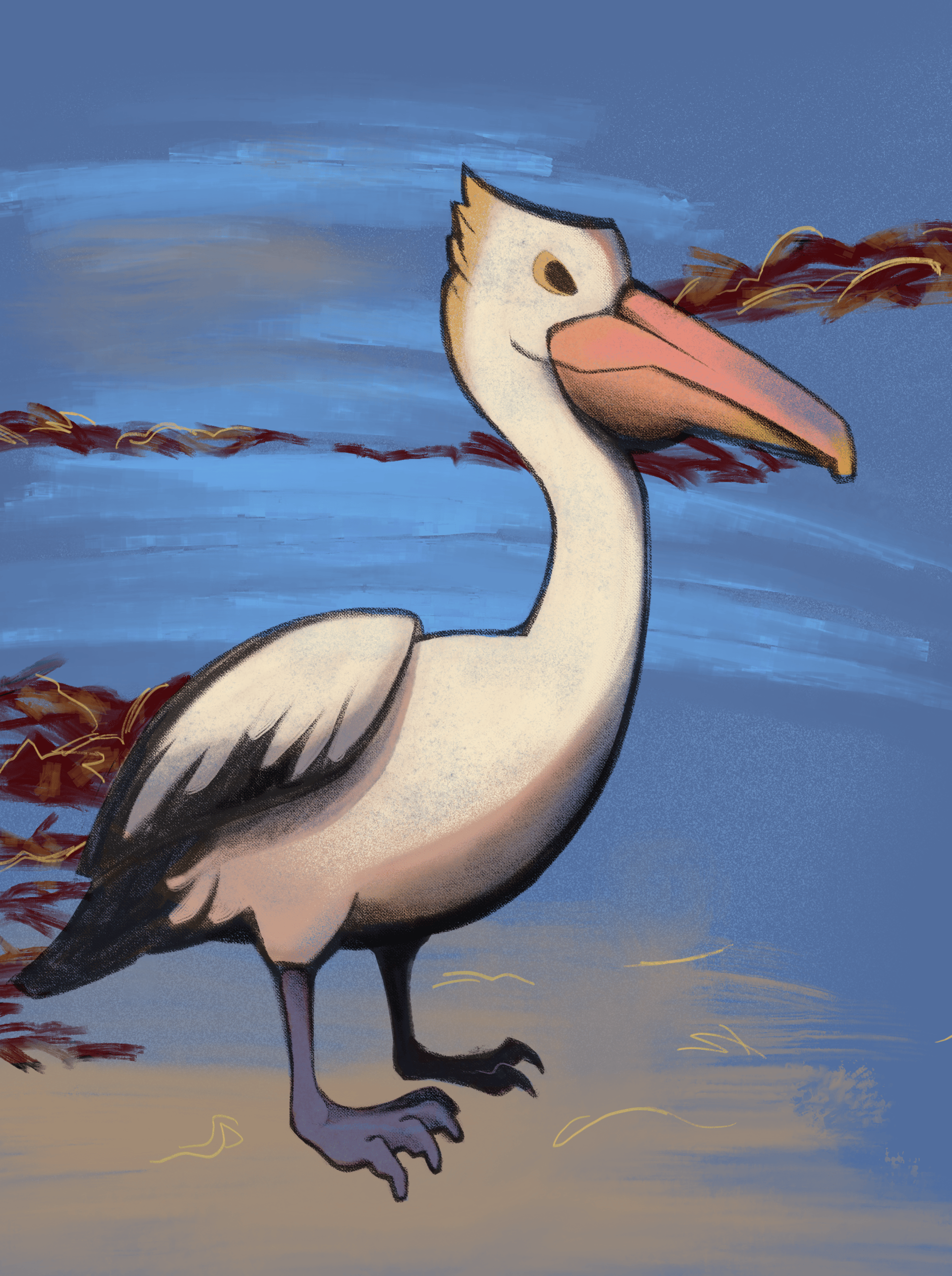 Colour illustration of an Australian pelican standing near coastal water, created as part of a wildlife art study of native Australian birds.