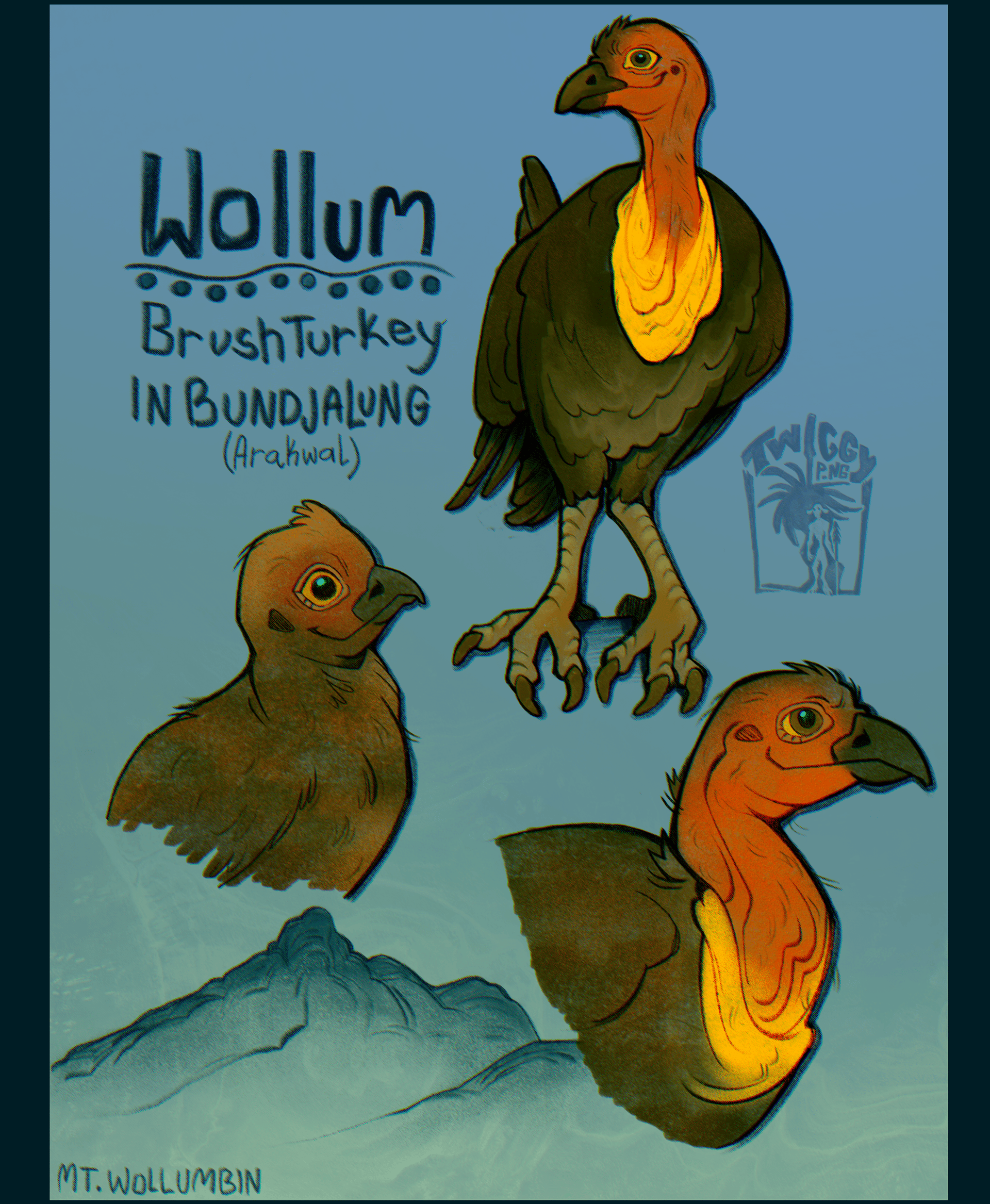 Illustrated Wollum (Alectura lathami), brush turkey named in Bundjalung (Arahwal), shown with Mt Wollumbin in the background.